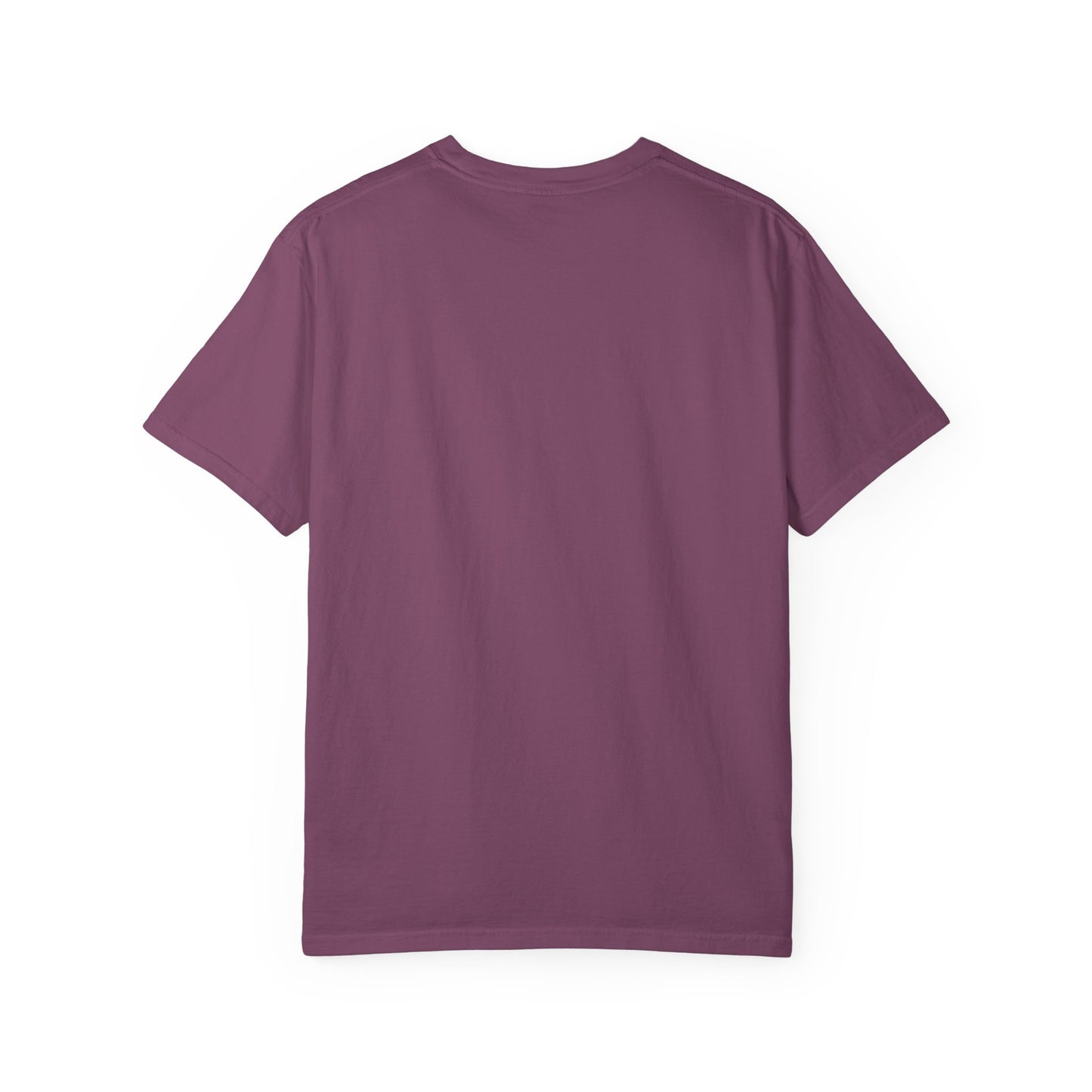 Pan Colors | I've Been Queer The Whole Time Shirt | Comfort Colors