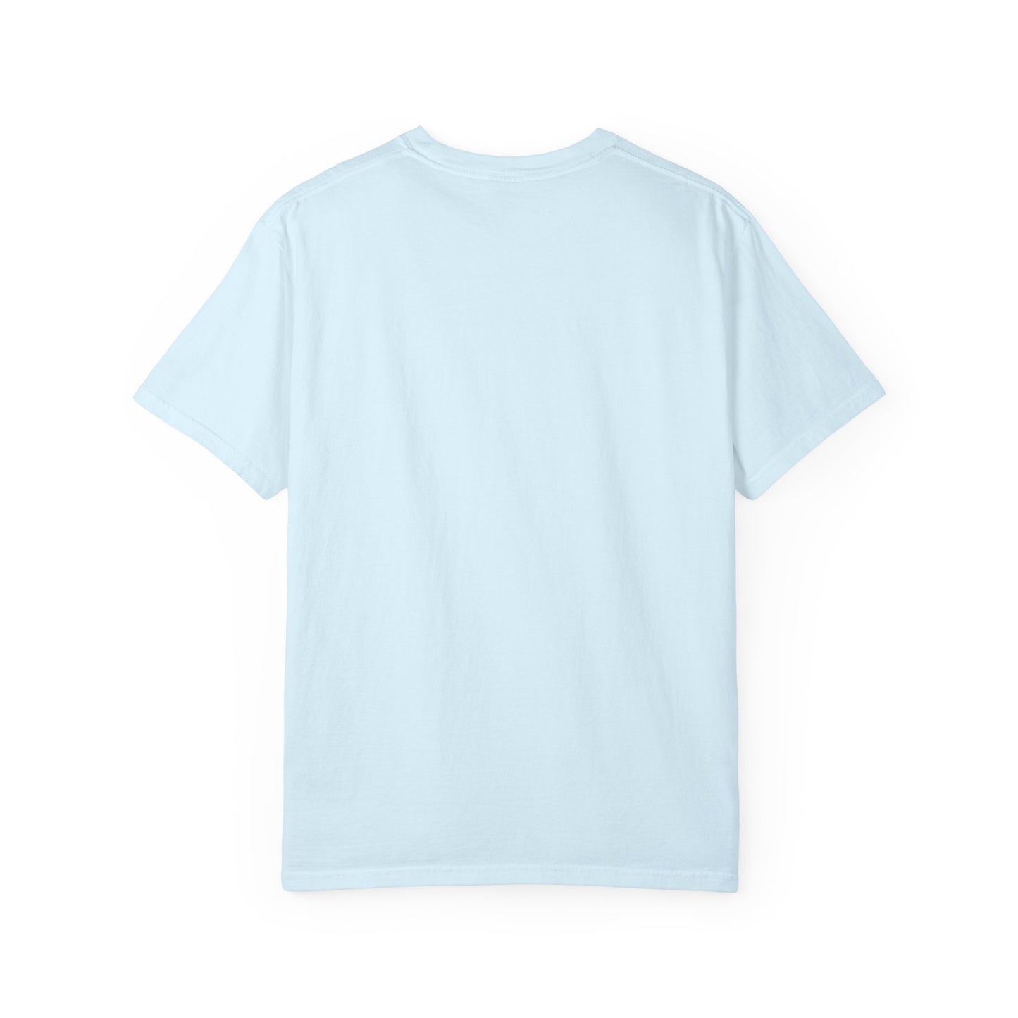 Trans Flag | I've Been Queer The Whole Time Shirt | Comfort Colors