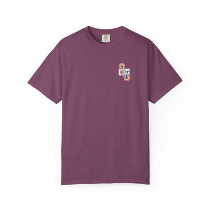 Pan Colors | I've Been Queer The Whole Time Shirt | Comfort Colors