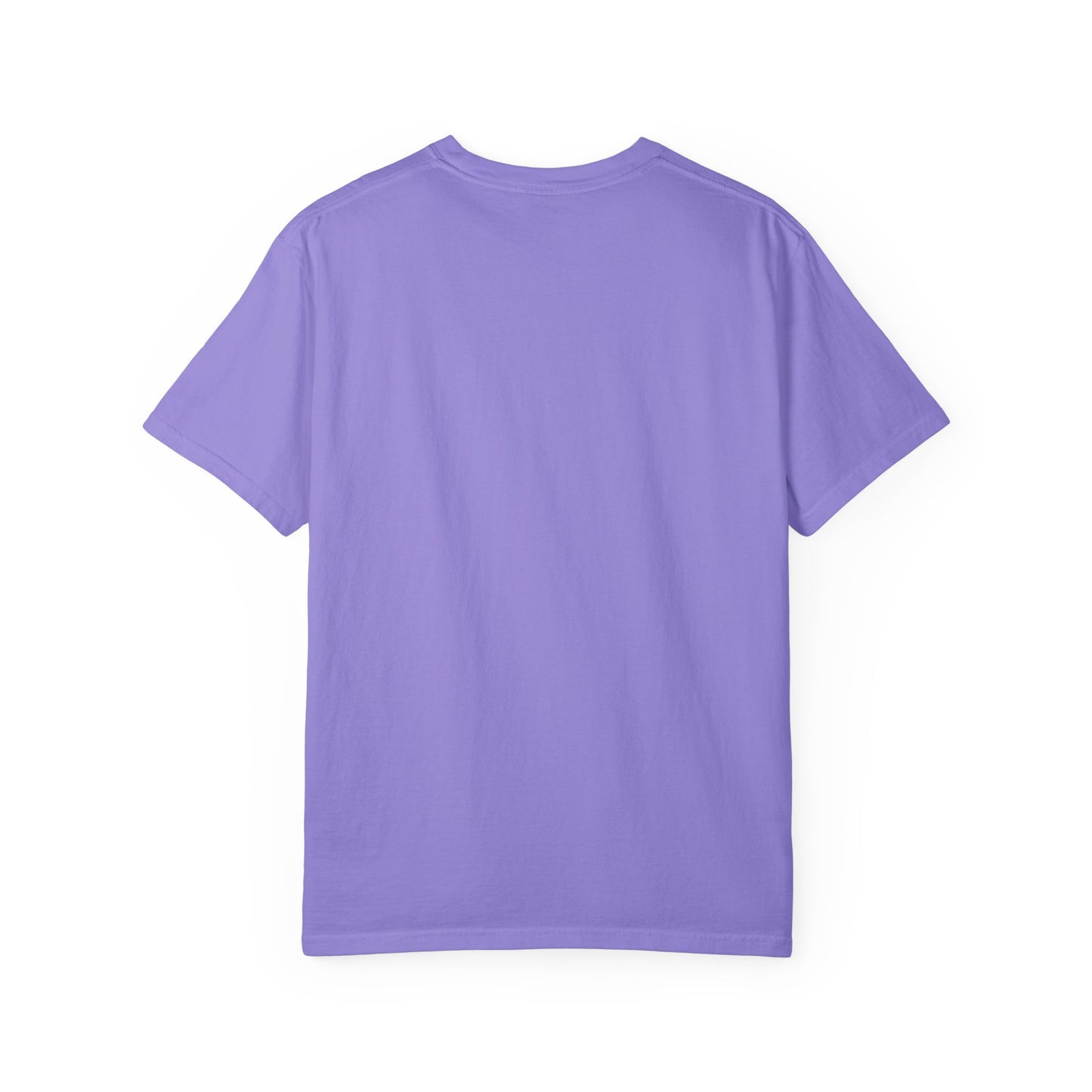 Bi Colors | I've Been Queer The Whole Time Shirt | Comfort Colors